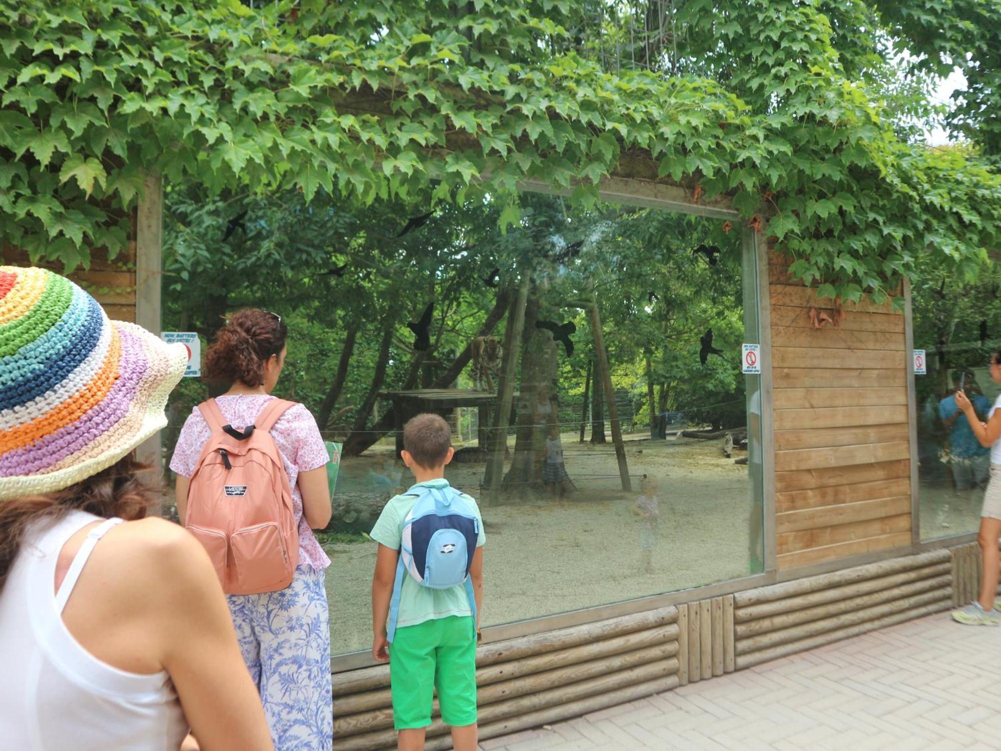 Stiria Apartment ลินญาโน ซับเบียโดโร ภายนอก รูปภาพ